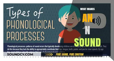 Unraveling the N Sound: Articulatory Mechanics and Phonetic Nuances Explained