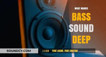 Unveiling the Science Behind Bass: Why It Sounds Deep and Powerful