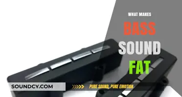 Unveiling the Secrets Behind Achieving Rich, Full, and Fat Bass Sound
