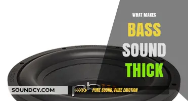 Unveiling the Secrets: What Makes Bass Sound Thick and Powerful