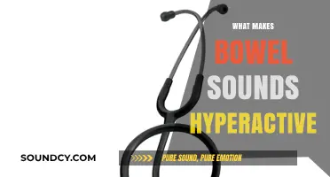 Hyperactive Bowel Sounds: Causes, Symptoms, and When to Seek Help