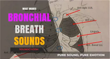 Understanding Bronchial Breath Sounds: Causes, Characteristics, and Clinical Significance
