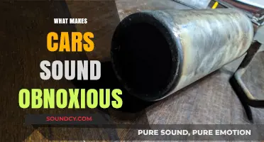 Decoding the Roar: Why Some Car Sounds Are Unbearably Annoying