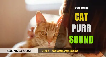 The Science Behind Cats' Purrs: Unraveling the Mystery of Their Soothing Sound