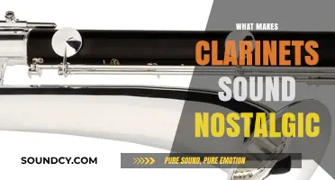 Clarinet's Nostalgic Tone: Unraveling the Emotional Magic of Its Sound