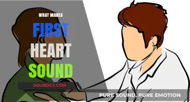 Understanding the Origin and Characteristics of the First Heart Sound