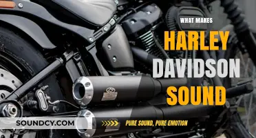 The Iconic Harley-Davidson Rumble: Engineering Behind the Signature Sound