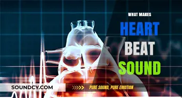 Understanding the Science Behind Your Heart's Unique Beat Sound