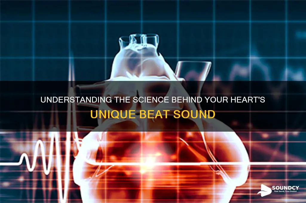 what makes heart beat sound
