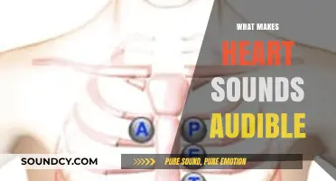 Unveiling the Science Behind Audible Heart Sounds: A Comprehensive Guide