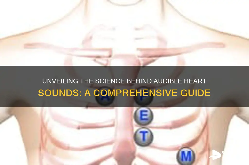 what makes heart sounds audible
