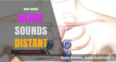 Why Heart Sounds Appear Distant: Causes and Clinical Implications