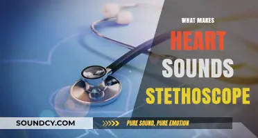 Understanding Heart Sounds: How Stethoscopes Capture Cardiac Rhythms