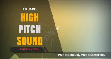 Unraveling the Science Behind High-Pitch Sounds: Frequency, Perception, and Causes