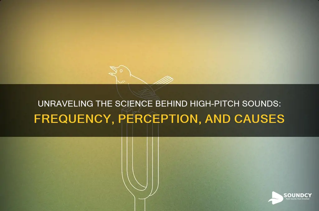 what makes high pitch sound