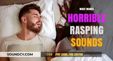 Uncovering the Causes of Horrific Rasping Sounds: A Comprehensive Guide