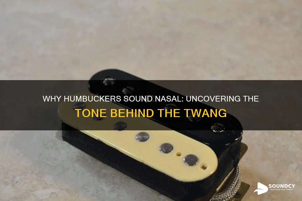 what makes humbucker sound nasal