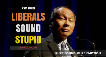 Why Liberal Arguments Often Fall Flat: Unraveling Missteps in Communication