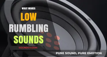 Unveiling the Mysterious Origins of Low Rumbling Sounds in Nature