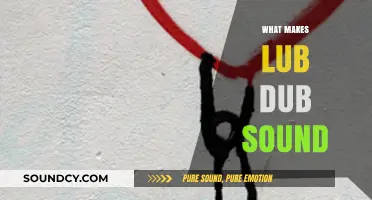 Unraveling the Science Behind the Heart's Lub Dub Sound