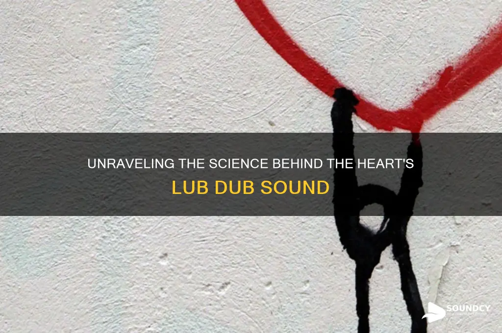 what makes lub dub sound