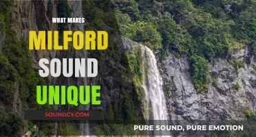 Milford Sound's Unique Wonders: Nature, History, and Untamed Beauty Explored