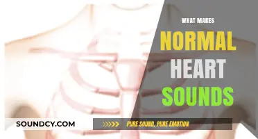 Understanding the Rhythm: What Constitutes Normal Heart Sounds