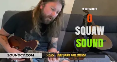 Exploring the Unique Acoustic Qualities of the O Squaw Sound