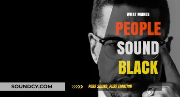 Understanding the Cultural and Linguistic Roots of Black Speech Patterns