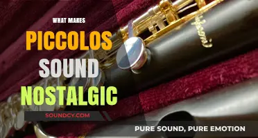 Why Piccolo Melodies Evoke Deep Nostalgia and Emotional Memories