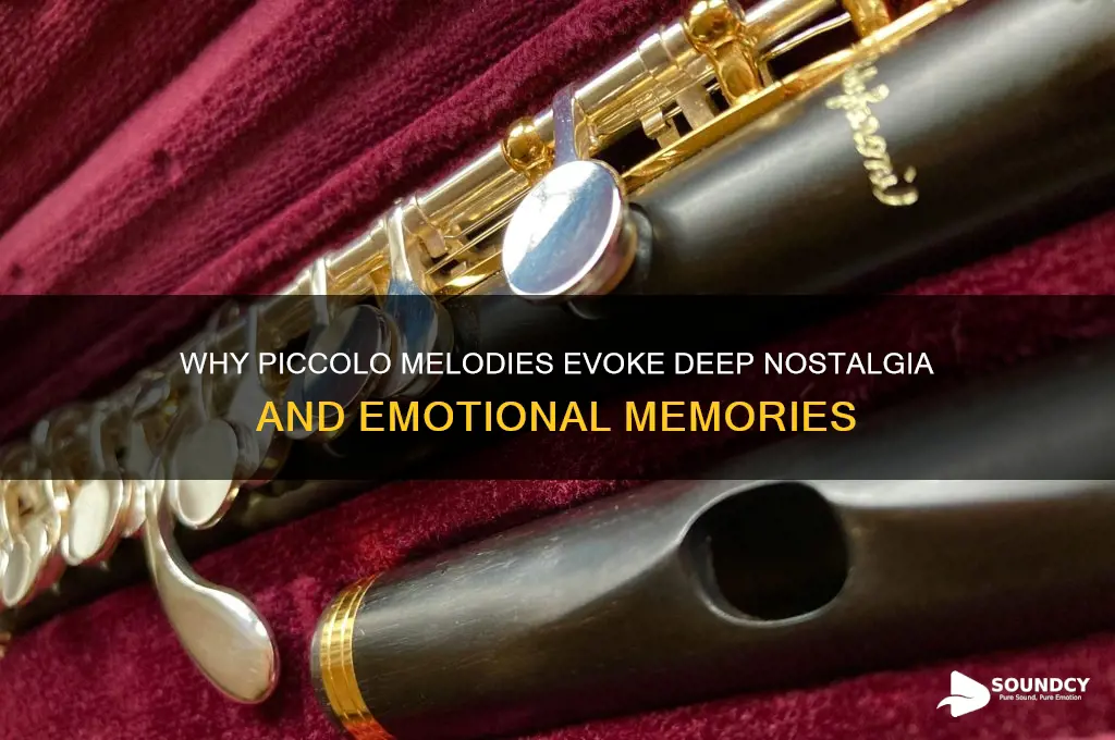 what makes piccolos sound nostalgic