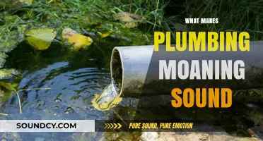 Why Your Plumbing Moans: Causes and Solutions for Noisy Pipes