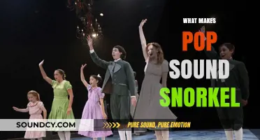 Unveiling the Unique Sound: What Makes Pop Music Sound Like a Snorkel?