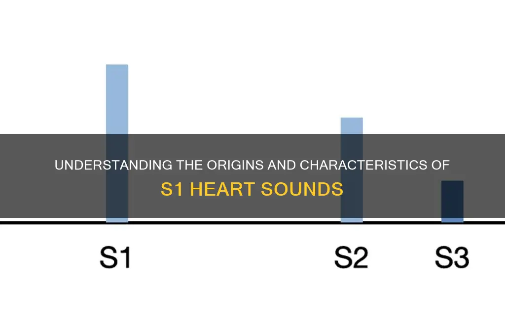 what makes s1 heart sounds