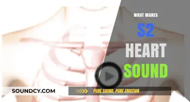 Understanding the Causes and Characteristics of S2 Heart Sound