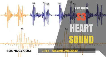 Understanding the Causes and Characteristics of S3 Heart Sound