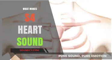 Understanding the Causes and Characteristics of the S4 Heart Sound