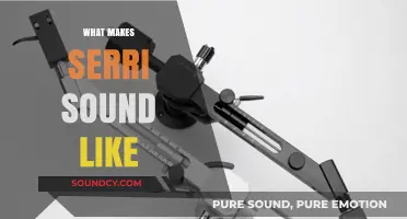 Unveiling Serri's Unique Sound: A Blend of Style and Technique