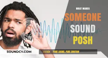 Unveiling the Secrets: What Makes Someone Sound Posh and Polished