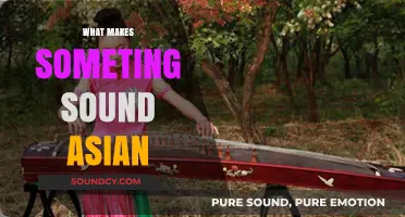 Unveiling the Musical and Linguistic Elements That Define 'Asian' Sounds