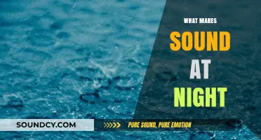 Unraveling the Mysteries of Nighttime Sounds: What Creates Them?
