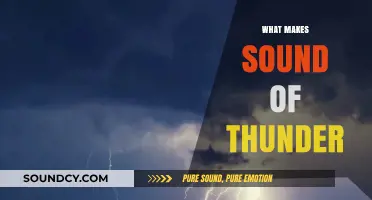 Unraveling the Science Behind the Roaring Sound of Thunder