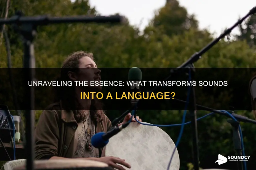 what makes sounds a language