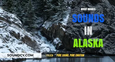 Exploring Alaska's Unique Soundscape: Nature, Wildlife, and Cultural Echoes