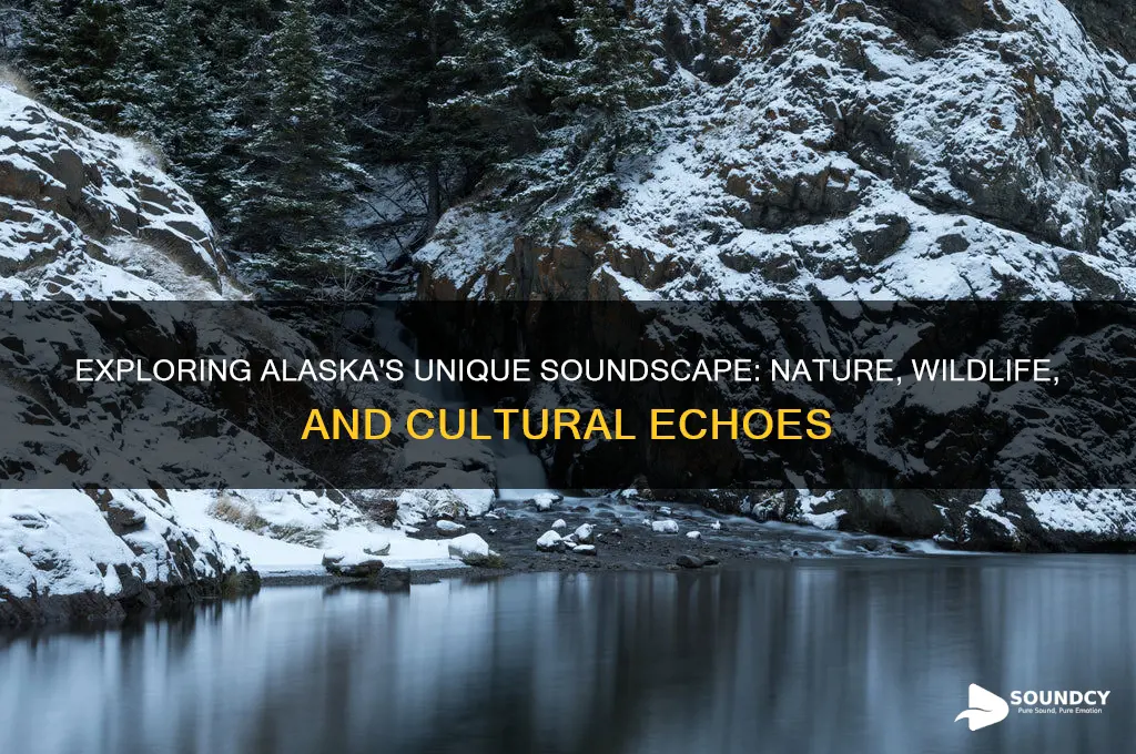 what makes sounds in alaska