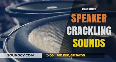 Why Speakers Crackle: Uncovering Causes and Quick Fixes for Clear Sound
