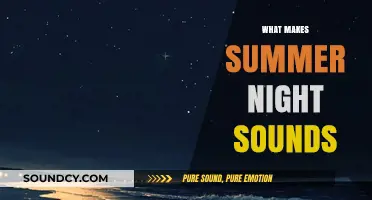 The Enchanting Symphony of Summer Nights: Exploring Nature's Evening Sounds