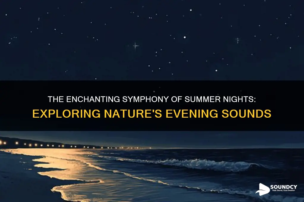 what makes summer night sounds
