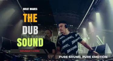 Exploring the Unique Elements That Define the Dub Sound
