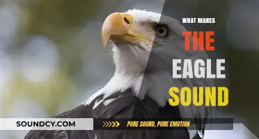 Unveiling the Majestic Eagle's Unique Vocalizations and Their Meanings